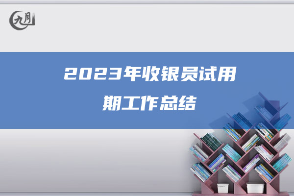 2023年收银员试用期工作总结