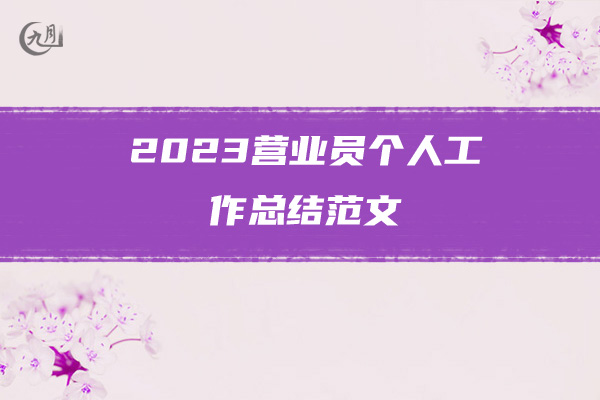 2023营业员个人工作总结范文