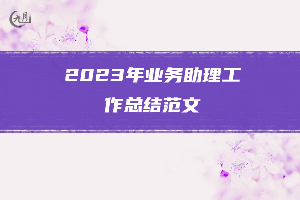 2023年业务助理工作总结范文