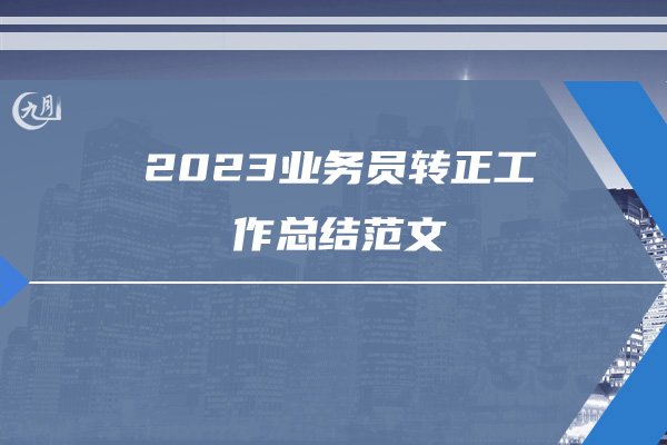 2023业务员转正工作总结范文