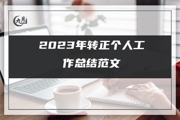 2023年转正个人工作总结范文