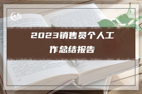 2023销售员个人工作总结报告