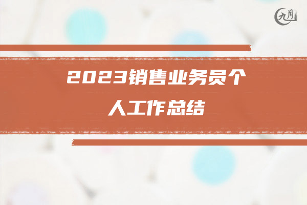 2023销售业务员个人工作总结