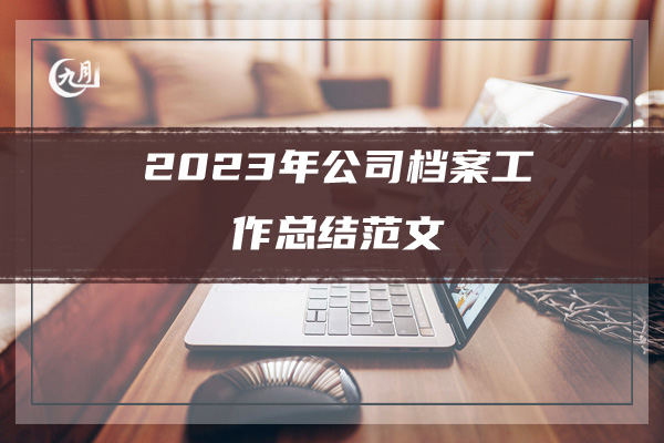 2023年公司档案工作总结范文