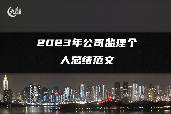 2023年公司监理个人总结范文