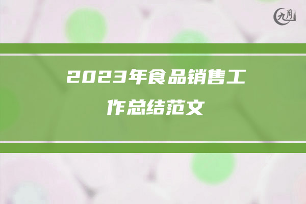 2023年食品销售工作总结范文