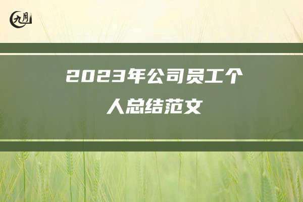 2023年公司员工个人总结范文