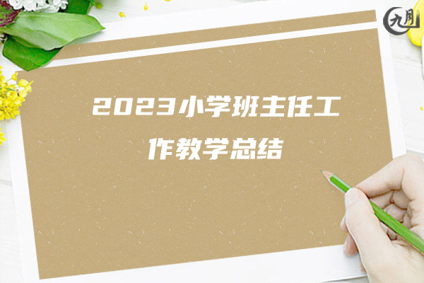 2023小学班主任工作教学总结