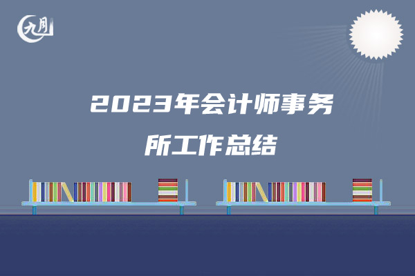 2023年会计师事务所工作总结