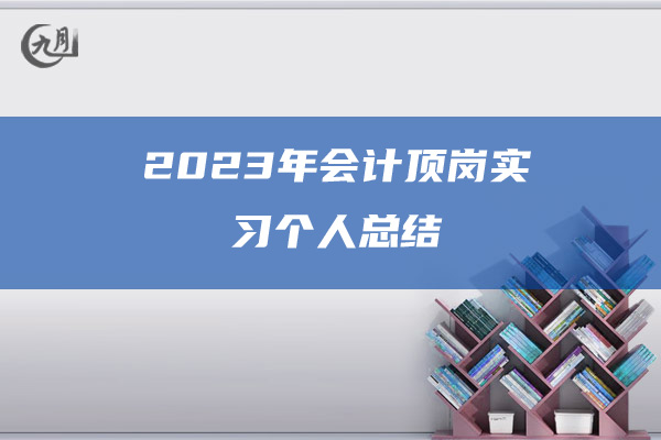 2023年会计顶岗实习个人总结