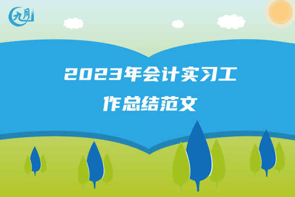 2023年会计实习工作总结范文