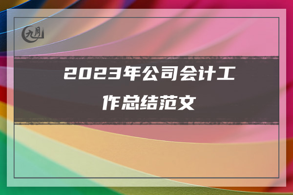 2023年公司会计工作总结范文