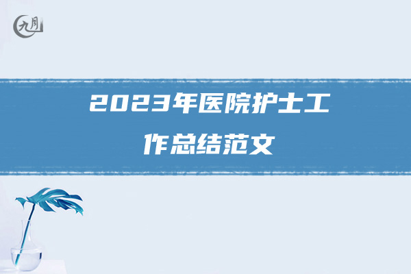 2023年医院护士工作总结范文