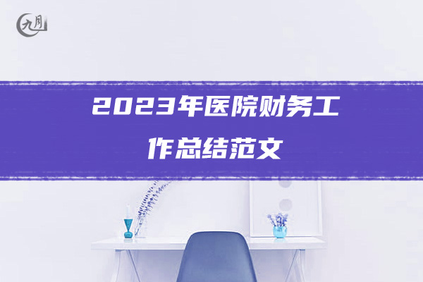 2023年医院财务工作总结范文