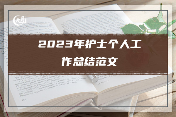 2023年护士个人工作总结范文