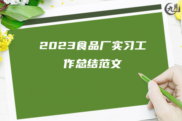 2023食品厂实习工作总结范文