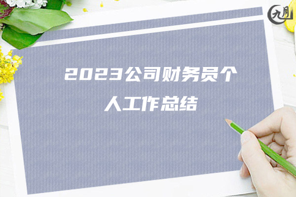 2023公司财务员个人工作总结