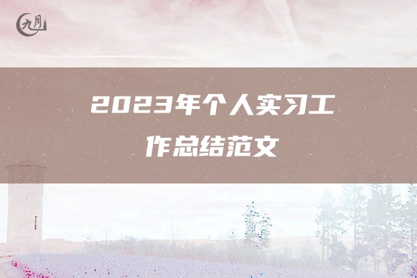 2023年个人实习工作总结范文