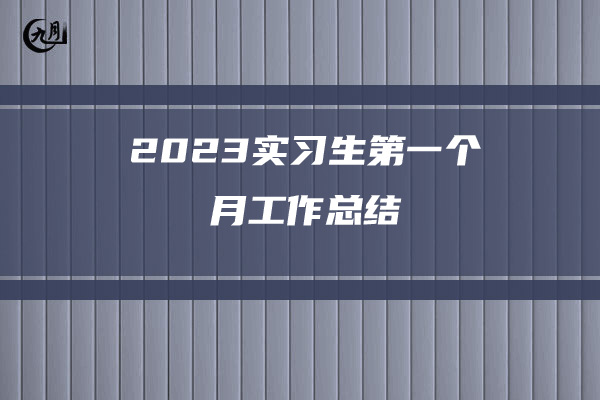 2023实习生第一个月工作总结