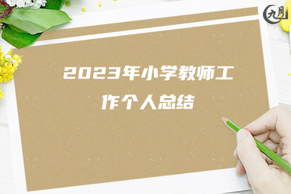 2023年小学教师工作个人总结