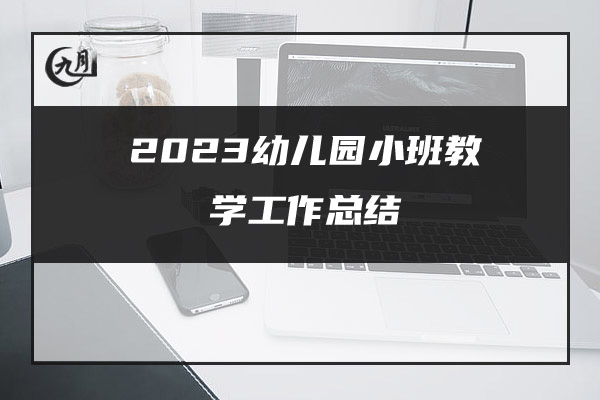 2023幼儿园小班教学工作总结