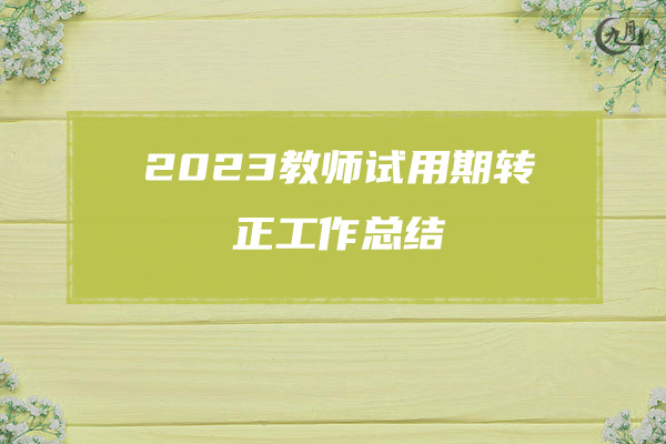 2023教师试用期转正工作总结