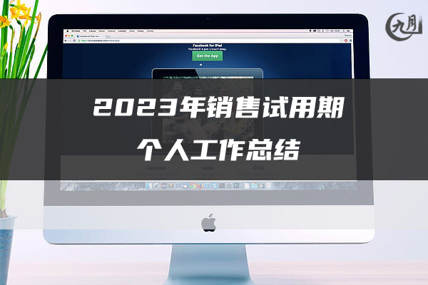 2023年销售试用期个人工作总结