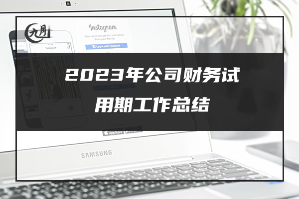 2023年公司财务试用期工作总结