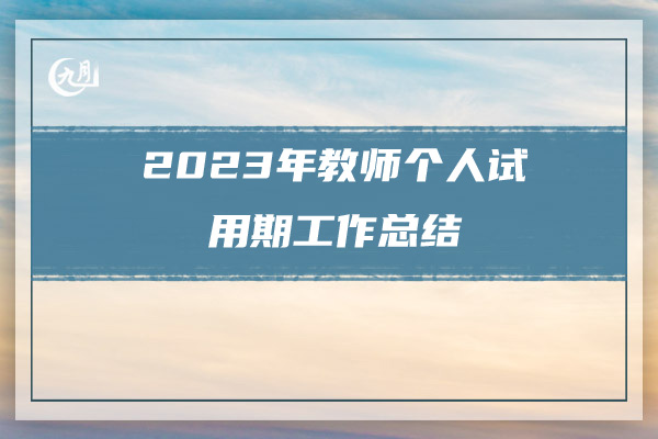 2023年教师个人试用期工作总结