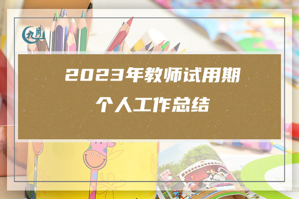 2023年教师试用期个人工作总结