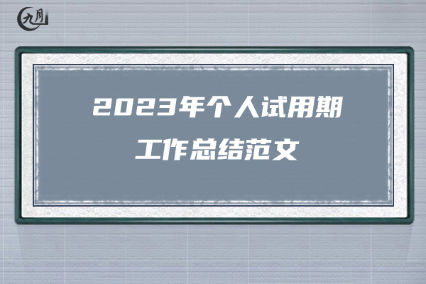 2023年个人试用期工作总结范文