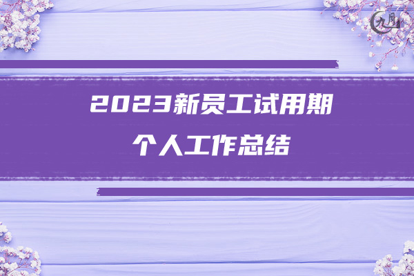 2023新员工试用期个人工作总结