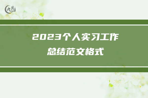 2023个人实习工作总结范文格式