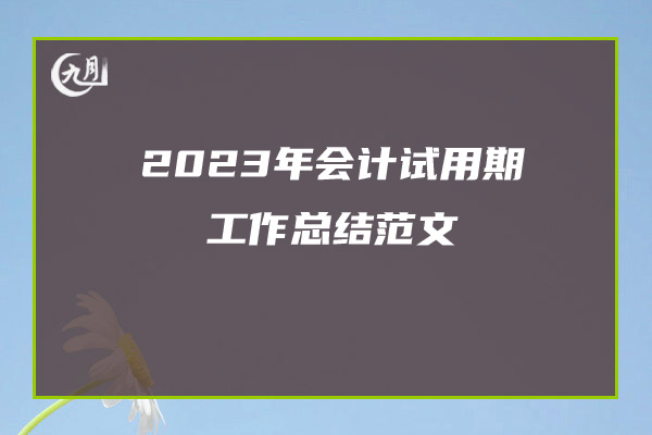 2023年会计试用期工作总结范文