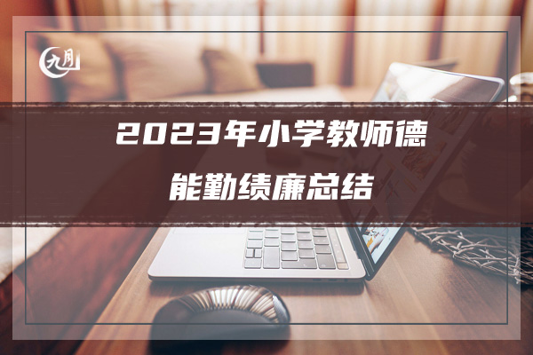 2023年小学教师德能勤绩廉总结