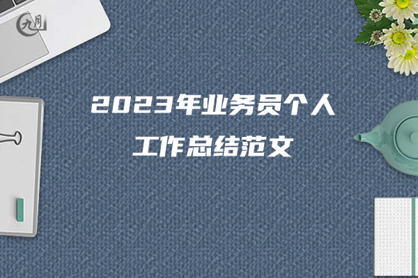 2023年业务员个人工作总结范文