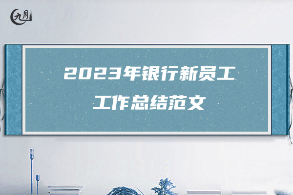 2023年银行新员工工作总结范文