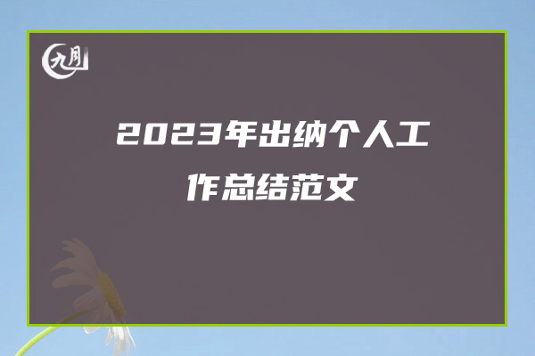 2023年出纳个人工作总结范文