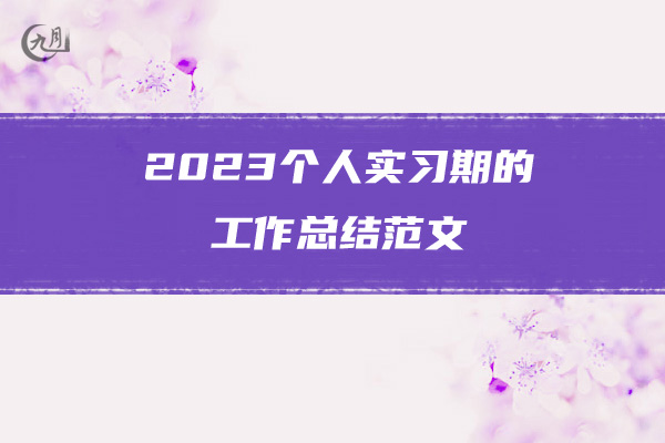 2023个人实习期的工作总结范文