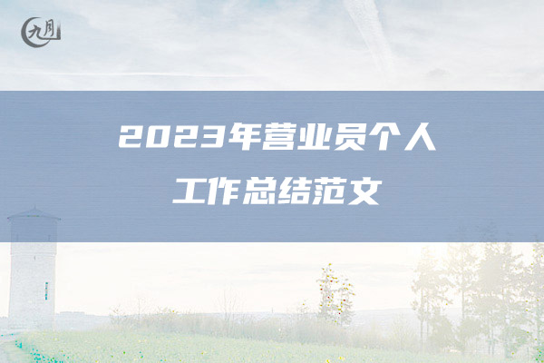 2023年营业员个人工作总结范文