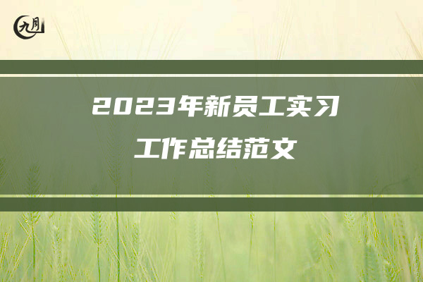 2023年新员工实习工作总结范文