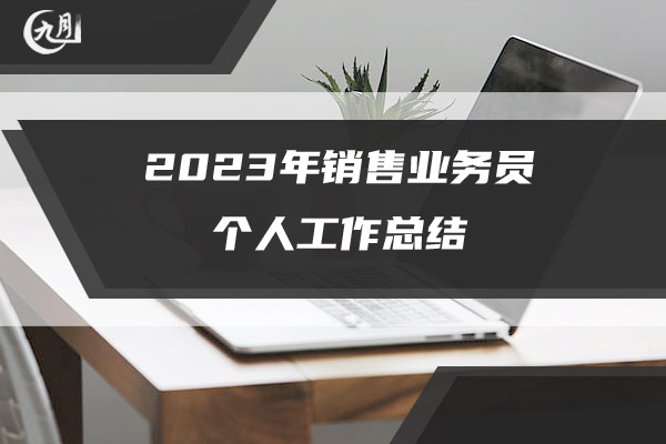 2023年销售业务员个人工作总结