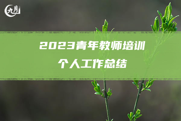 2023青年教师培训个人工作总结