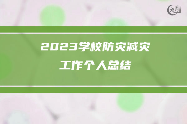 2023学校防灾减灾工作个人总结