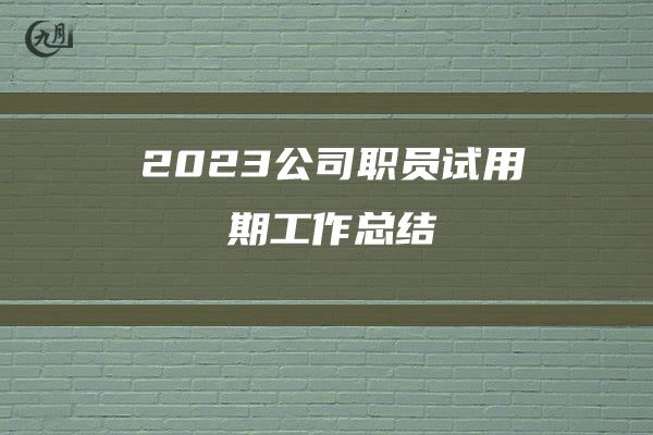 2023公司职员试用期工作总结