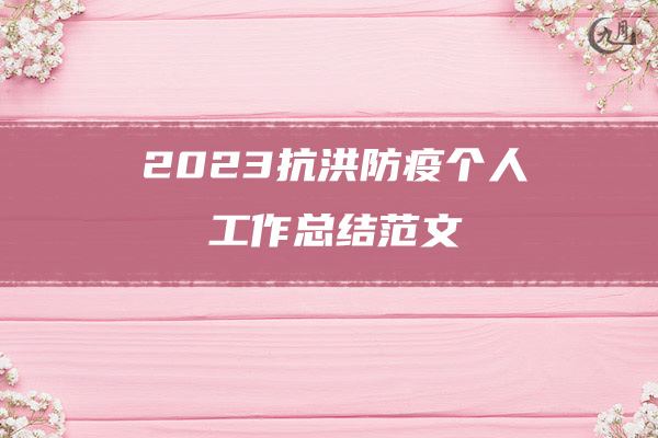 2023抗洪防疫个人工作总结范文