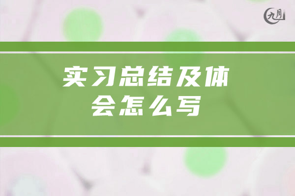 实习总结及体会怎么写