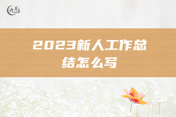 2023新人工作总结怎么写