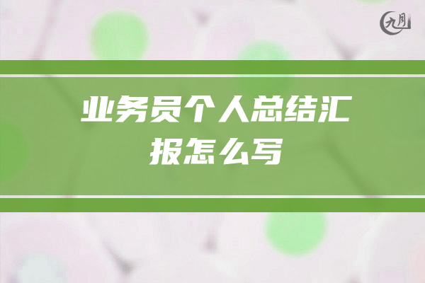 业务员个人总结汇报怎么写