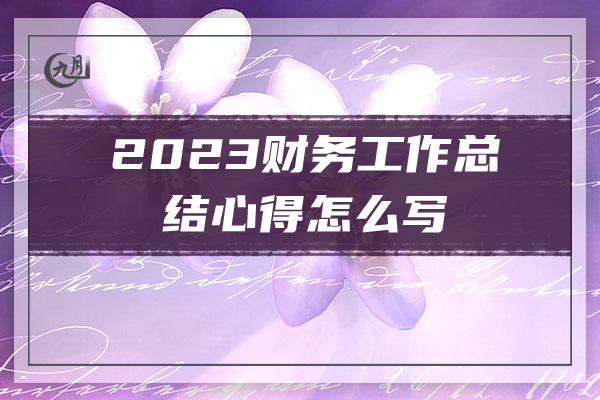 2023财务工作总结心得怎么写